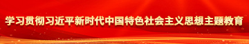 高清肏大骚屄视频学习贯彻习近平新时代中国特色社会主义思想主题教育